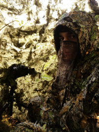 Ledňáček říční (Alcedo atthis)